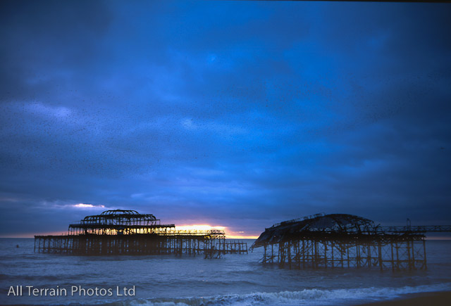 Shot_of_the_day_19SEPT